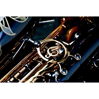 P. Mauriat P. Mauriat Professional Alto Saxophone Black Nickel Gold Lacquer Keys