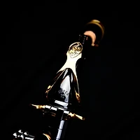 P. Mauriat P. Mauriat Professional Alto Saxophone Black Nickel Gold Lacquer Keys