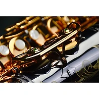 P. Mauriat P. Mauriat Professional Alto Saxophone Black Nickel Gold Lacquer Keys