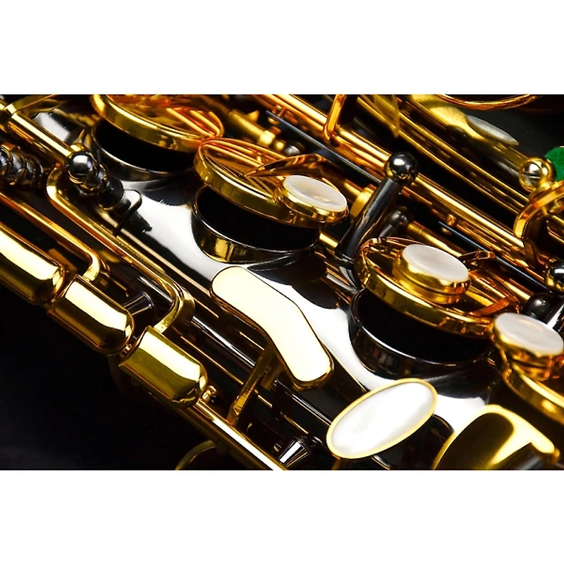 P. Mauriat P. Mauriat Professional Alto Saxophone Black Nickel Gold Lacquer Keys