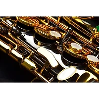 P. Mauriat P. Mauriat Professional Alto Saxophone Black Nickel Gold Lacquer Keys