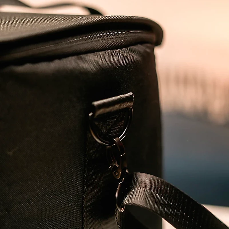 Positive Grid Spark 2 Carry Bag