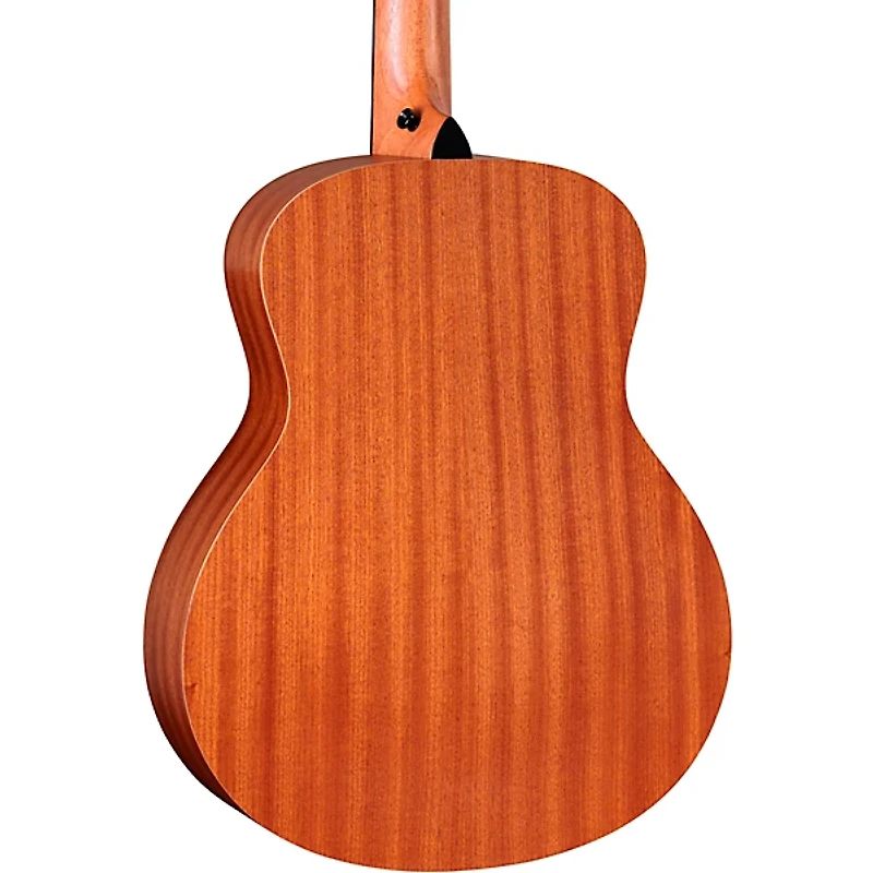 Taylor Zedd GS Mini Telos Special Edition Acoustic Guitar - Custom Graphic