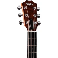 Taylor Zedd GS Mini Telos Special Edition Acoustic Guitar - Custom Graphic