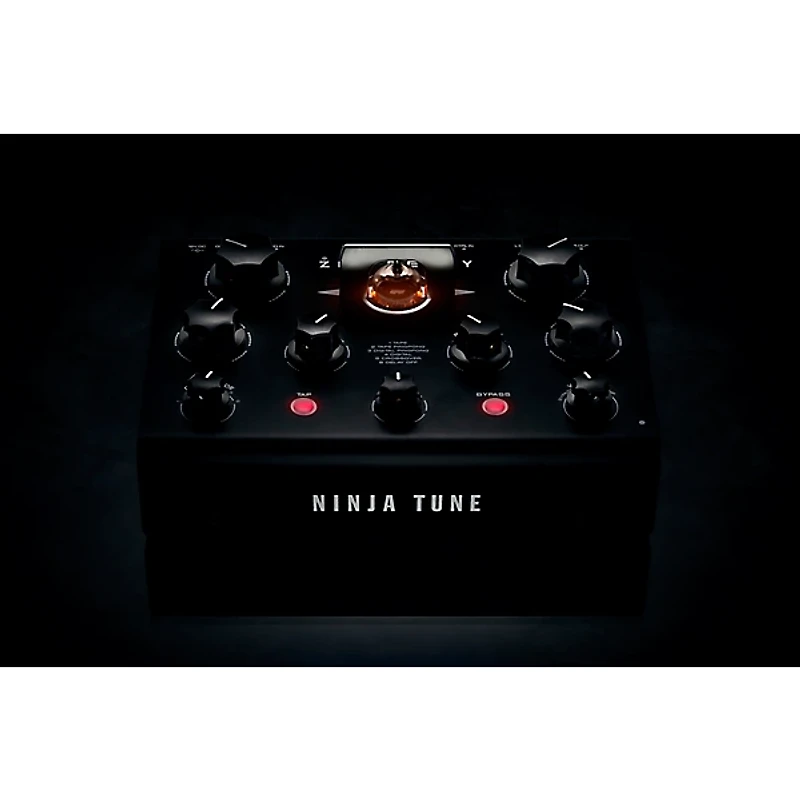 Erica Synths Zen Delay Hardware Effects Unit