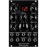 Erica Synths Black Hole DSP2 Multi-Effect Eurorack Module