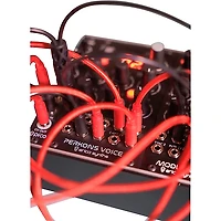 Erica Synths Perkons Voice Drum Machine Eurorack Module