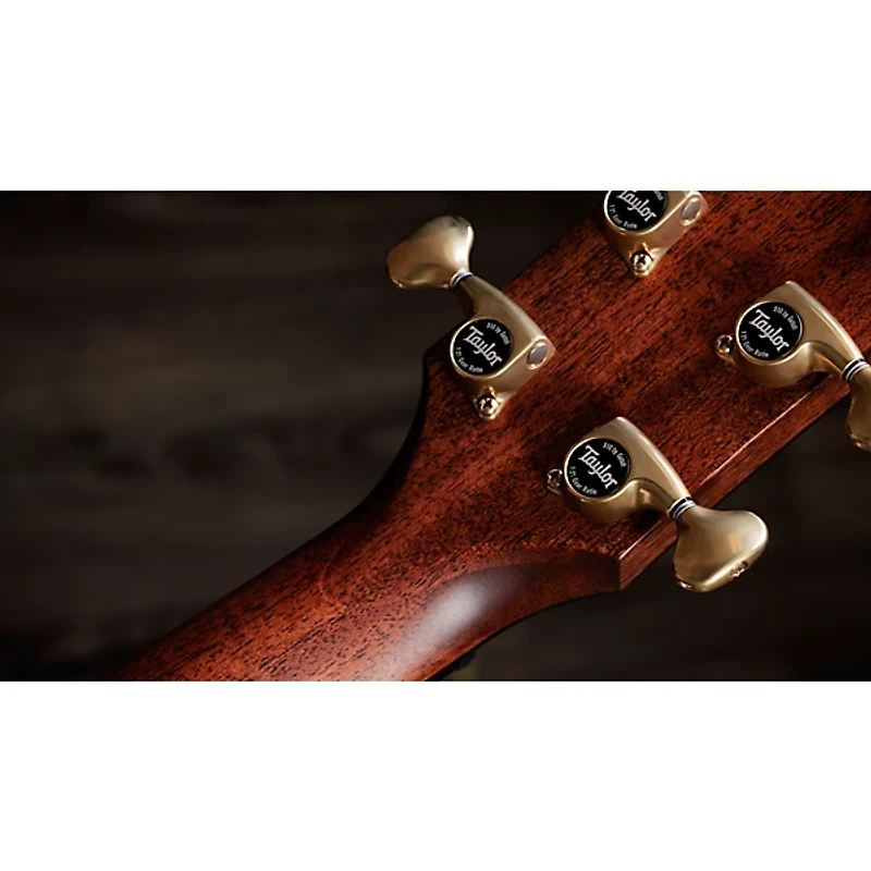 Taylor Next Generation 814ce Builder's Edition Grand Auditorium Acoustic-Electric Guitar - Kona Edgeburst