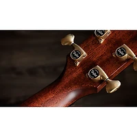 Taylor Next Generation 814ce Builder's Edition Grand Auditorium Acoustic-Electric Guitar - Kona Edgeburst
