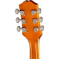 Epiphone Hummingbird Tribute Acoustic Guitar -