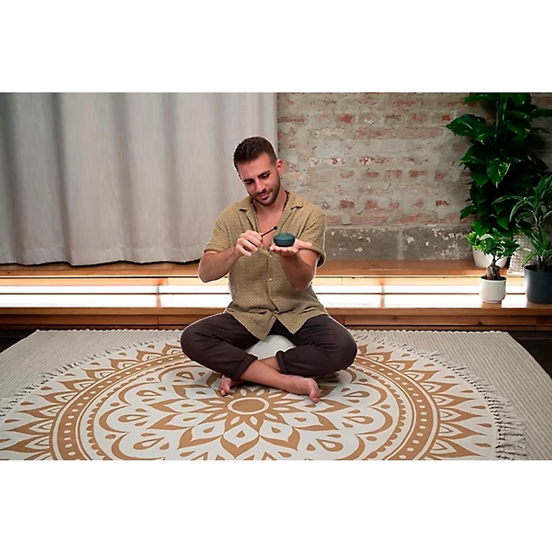 MEINL Sonic Energy Pocket Steel Tongue Drum - A Major, Germ of Life,