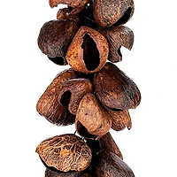 MEINL Waterfall Bendo Seed Shell Shaker - Brown