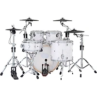 DWe Collector's Series DrumLink 5-Piece Acoustic-Electronic Drum Set with WT-10 Triggers and V71 Sound Module