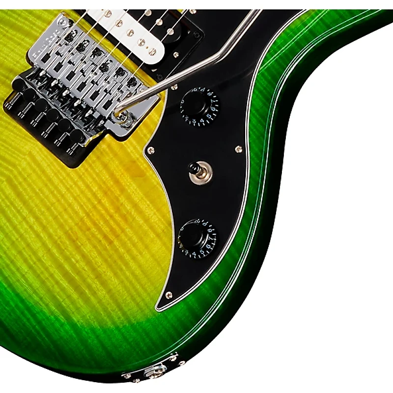 Gibson Victory Floyd Rose Electric Guitar -