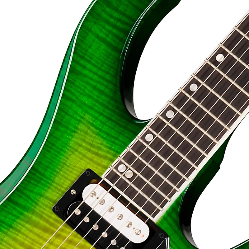 Gibson Victory Floyd Rose Electric Guitar -