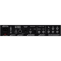 Synergy SYN-20IR 20W 1x12 Guitar Combo Amp -