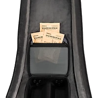D'Addario Backline Electric Guitar Gig Bag - Black