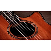 Taylor Next Generation Builder's Edition 914ce Honduran Rosewood Grand Auditorium Acoustic-Electric Guitar - Kona Edgeburst