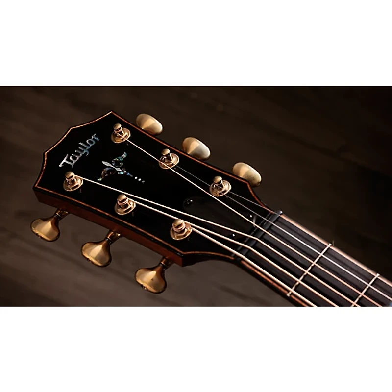 Taylor Next Generation Builder's Edition 914ce Grand Auditorium Acoustic-Electric Guitar - Kona Edgeburst