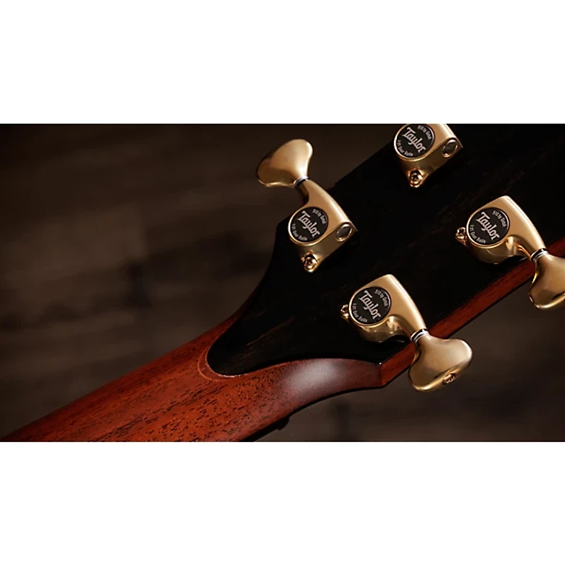 Taylor Next Generation Builder's Edition 914ce Grand Auditorium Acoustic-Electric Guitar - Kona Edgeburst