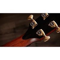 Taylor Next Generation Builder's Edition 914ce Grand Auditorium Acoustic-Electric Guitar - Kona Edgeburst