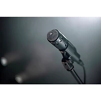 Warm Audio Retro 64 Dynamic Vocal and Instrument Microphone - Black Black
