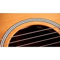 Taylor Gold Label 512e Grand Concert Acoustic-Electric Guitar - Natural