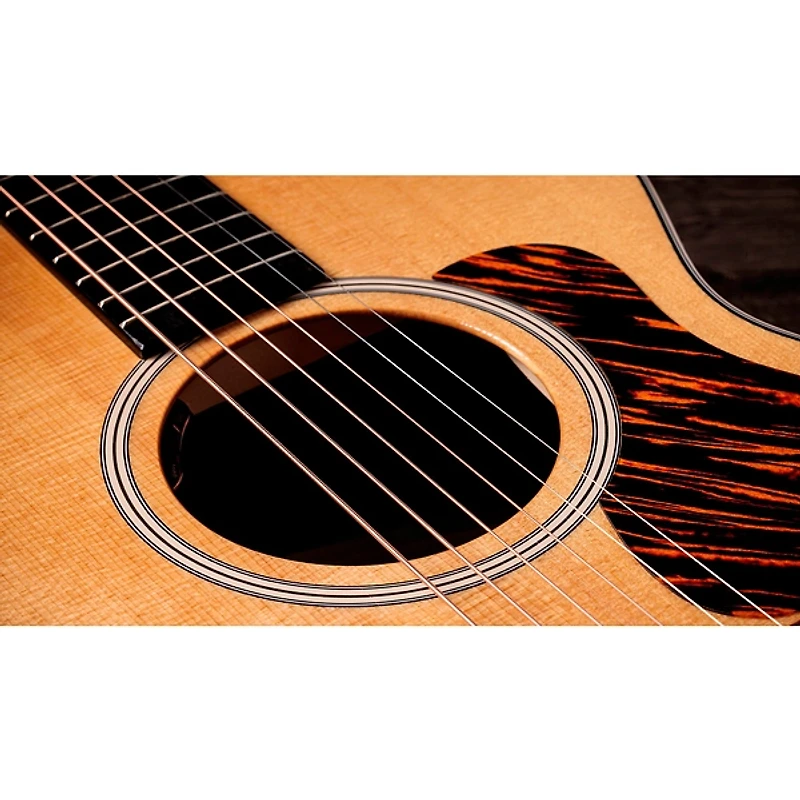 Taylor Gold Label 512e Grand Concert Acoustic-Electric Guitar - Natural