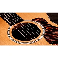 Taylor Gold Label 512e Grand Concert Acoustic-Electric Guitar - Natural