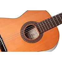 Ortega Traditional Series R225G 7/8-Size Classical Guitar - Natural