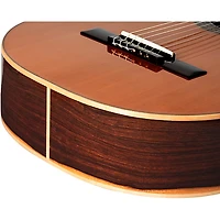 Ortega Traditional Series R225G 7/8-Size Classical Guitar - Natural