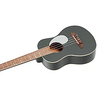 Ortega Gaucho Series Tenor Ukulele -