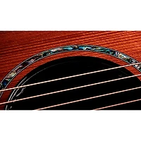 Taylor Next Generation PS14ce Grand Auditorium Acoustic-Electric Guitar - Shaded Edge Burst