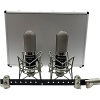 Pinnacle Microphones Vinnie Ribbon Microphone - Matched Stereo Pair