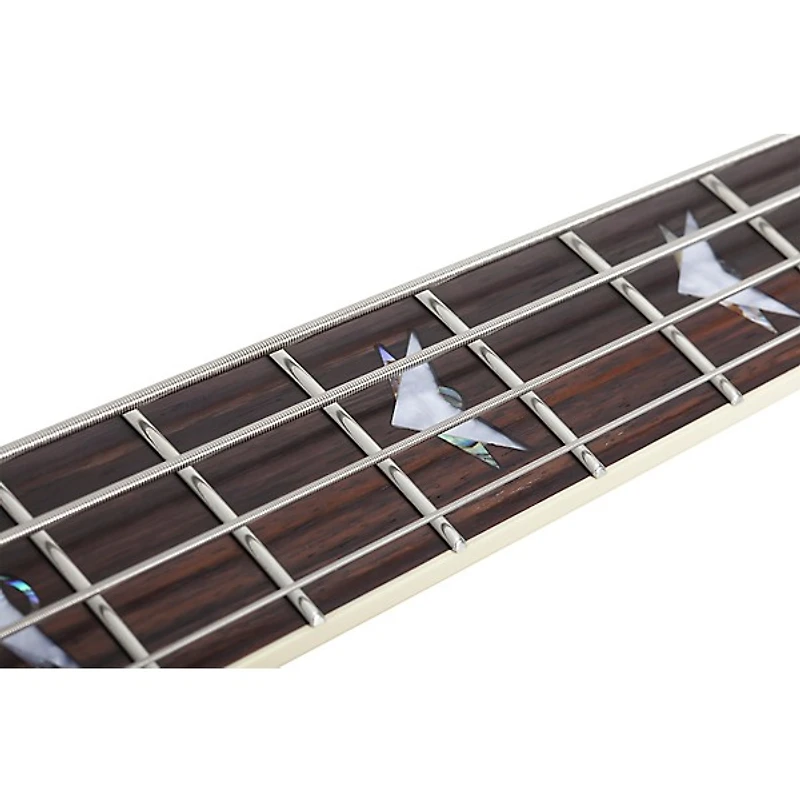 Schecter Guitar Research Stiletto Extreme-4 Electric Bass Guitar - Satin Purple Burst