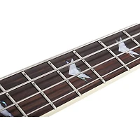 Schecter Guitar Research Stiletto Extreme-4 Electric Bass Guitar - Satin Purple Burst