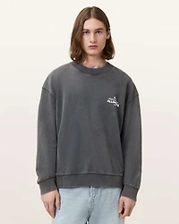 Soleil Crew Oversized Cropped Sweatshirt
