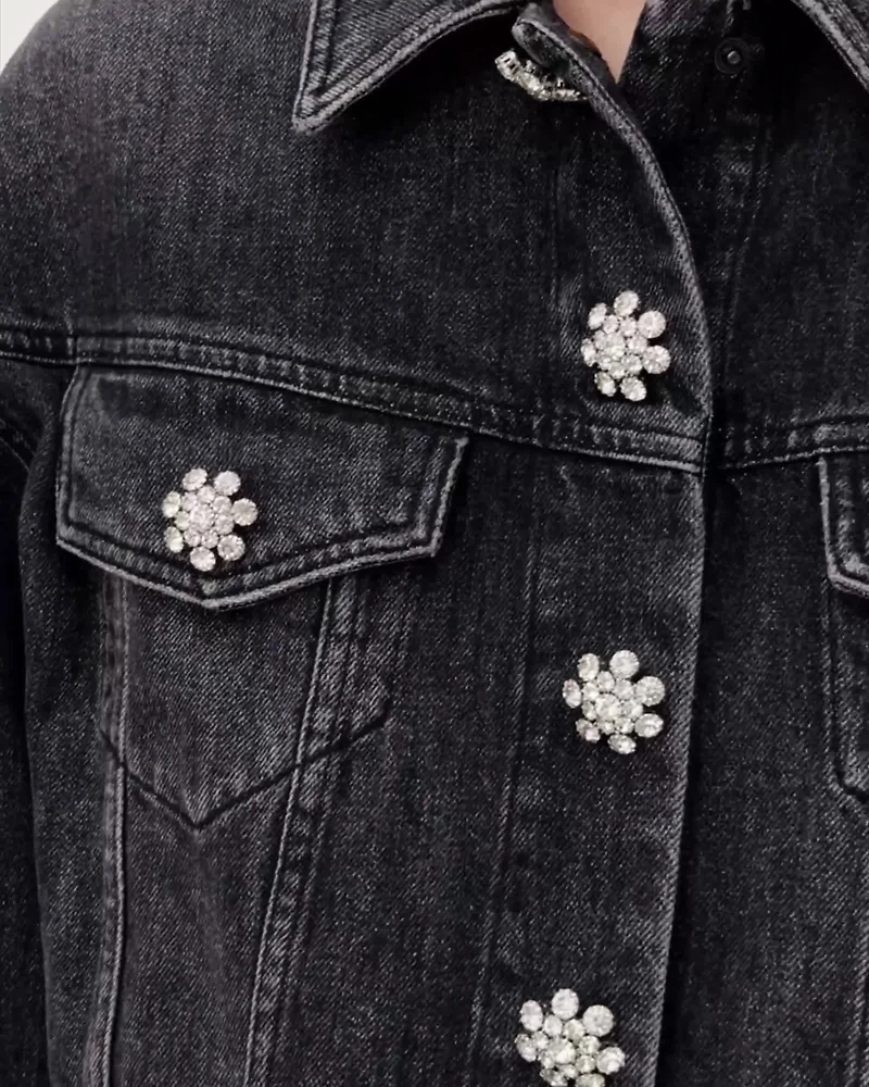 Beth Denim Trucker Jacket