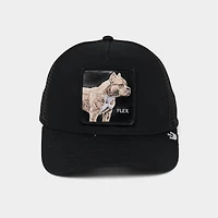 Goorin Bros. The Flex Pitbull Trucker Hat