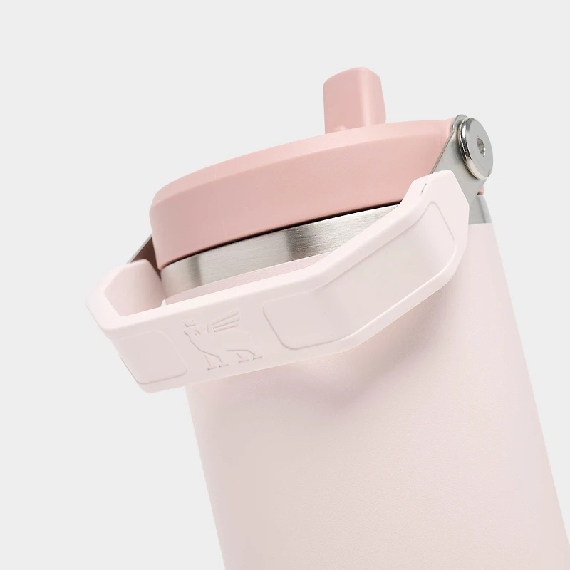 Stanley IceFlow Flip Straw Tumbler (30 oz.)