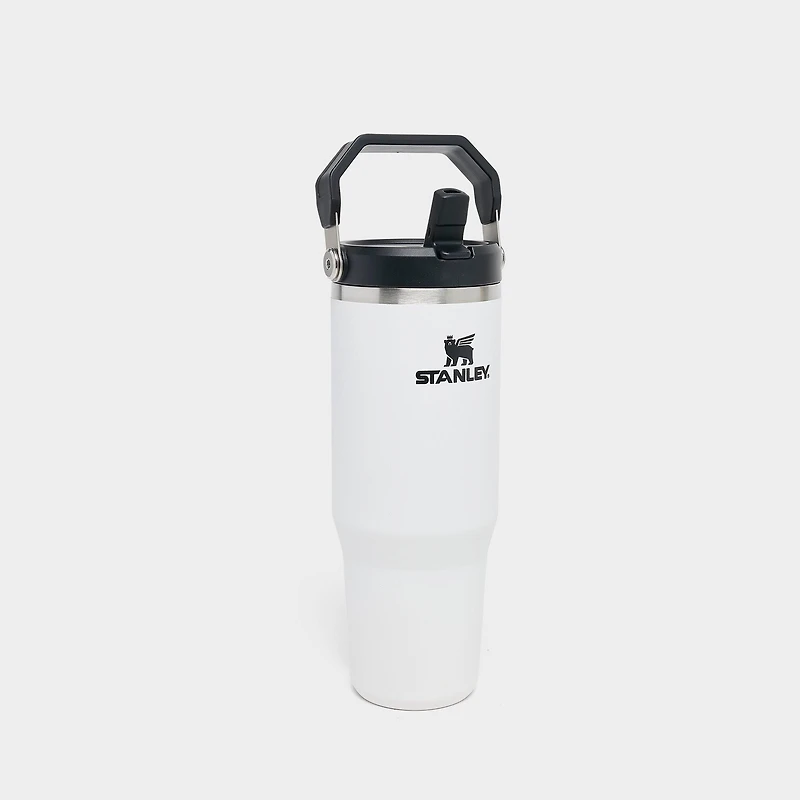 Stanley IceFlow Flip Straw Tumbler (30 oz.)