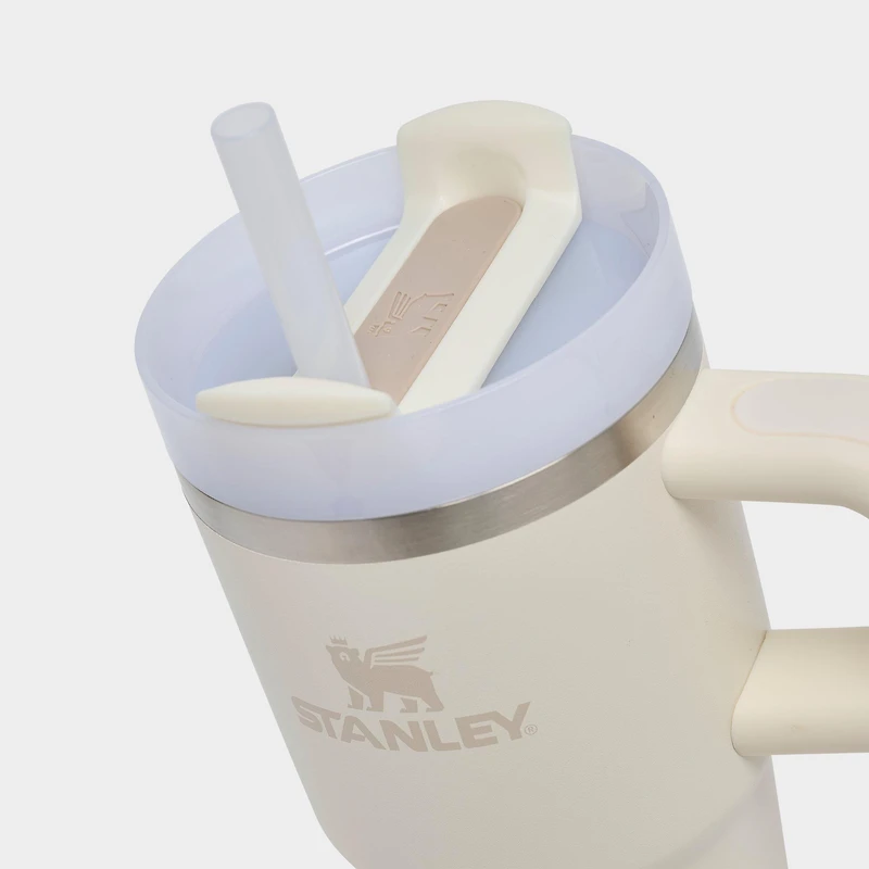 Stanley Quencher H2.0 Flowstate™ Tumbler (20 oz)