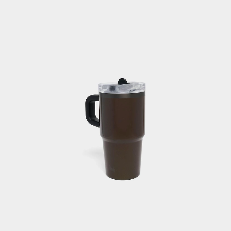 Stanley Quencher ProTour Flip Straw Tumbler (20 oz)