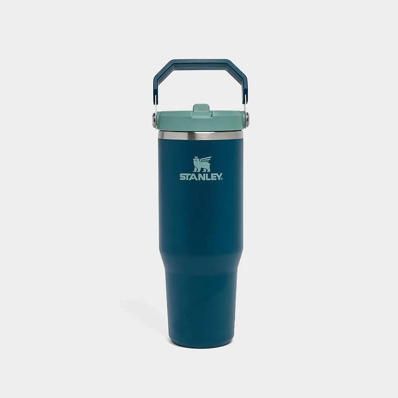 Stanley IceFlow Flip Straw Tumbler (30 oz.)