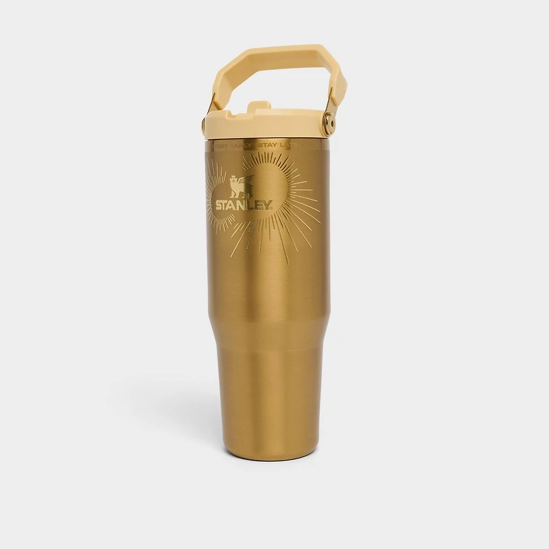 Stanley IceFlow Flip Straw Messi Tumbler (30 oz)