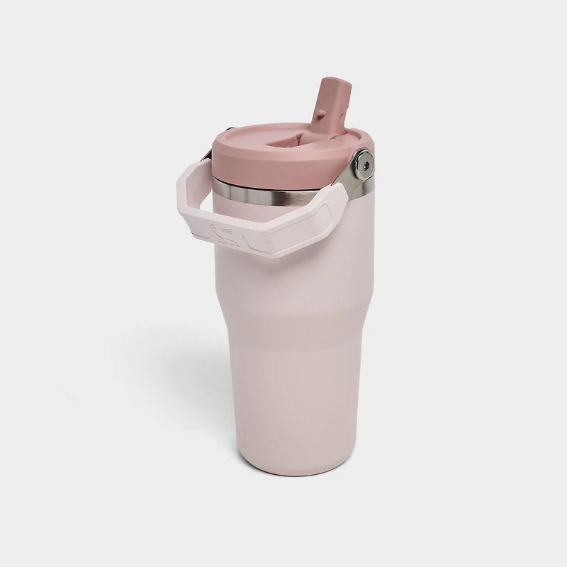Stanley IceFlow Flip Straw Tumbler (20 oz.)