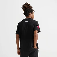 Men's Pro Standard Chicago Bulls NBA Born For Sport T-Shirt