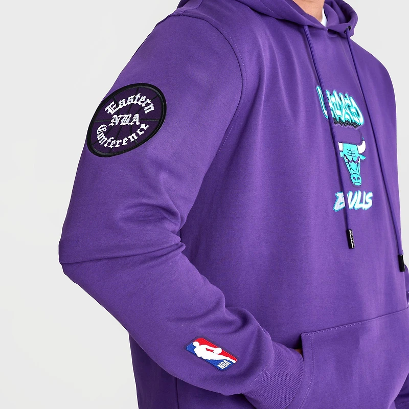 Men's Pro Standard Chicago Bulls Grape Pullover Hoodie