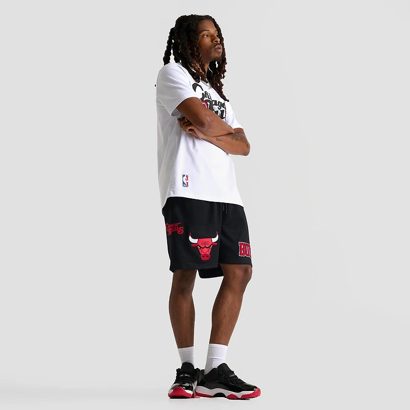 Men's Pro Standard Chicago Bulls NBA Souvenir Mesh Shorts