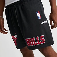 Men's Pro Standard Chicago Bulls NBA Souvenir Mesh Shorts